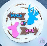 Gender Reveal Photography